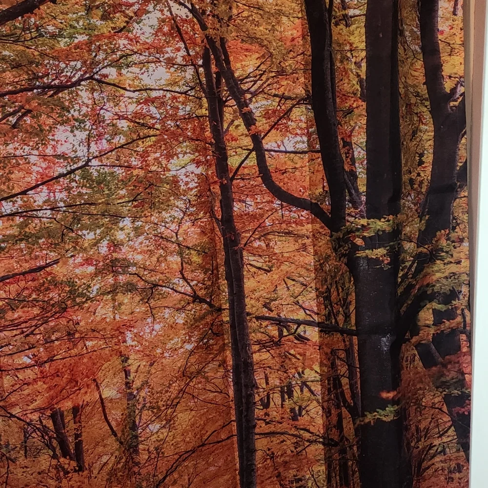 70x70 shower curtain